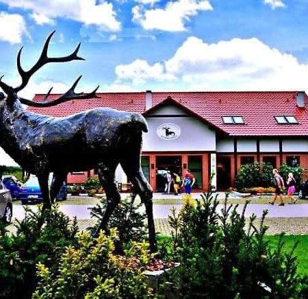 Pensjonat I Restauracja Hubertowka Milicz Dış mekan fotoğraf