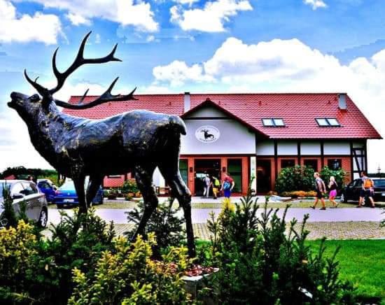 Pensjonat I Restauracja Hubertowka Milicz Dış mekan fotoğraf